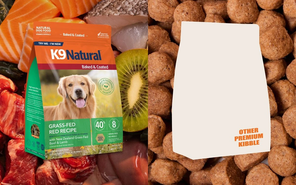 Baked and Coated package and whole-food ingredients compared with ordinary premium kibble